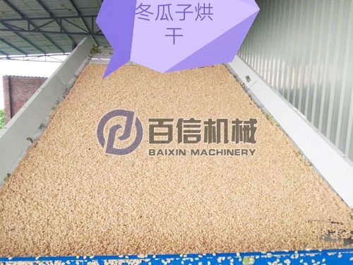 百信冬瓜子烘干机入驻广东嘉乐城食品有限公司